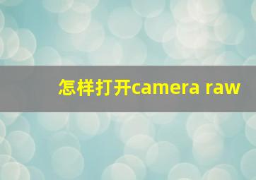 怎样打开camera raw