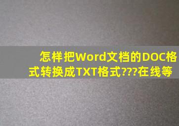 怎样把Word文档的DOC格式转换成TXT格式???在线等