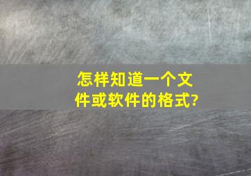 怎样知道一个文件或软件的格式?