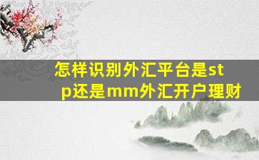 怎样识别外汇平台是stp还是mm外汇开户理财