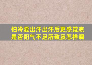 怕冷爱出汗出汗后更感觉凉是否阳气不足所致及怎样调