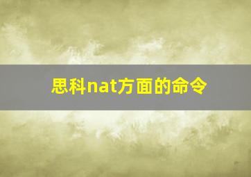 思科nat方面的命令