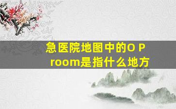 急,医院地图中的O P room是指什么地方 