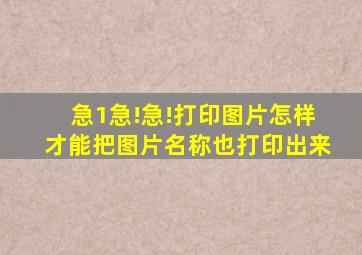 急1急!急!打印图片怎样才能把图片名称也打印出来