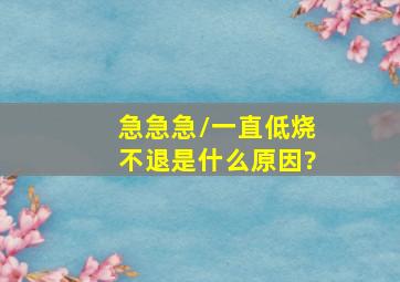 急急急/一直低烧不退,是什么原因?