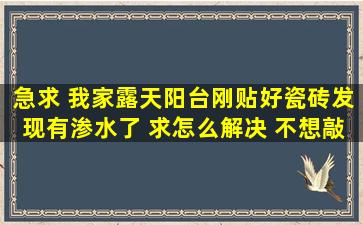 急求 我家露天阳台刚贴好瓷砖发现有渗水了 求怎么解决 不想敲砖哦