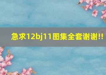 急求12bj11图集全套谢谢!!