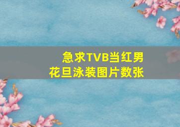 急求TVB当红男花旦泳装图片数张