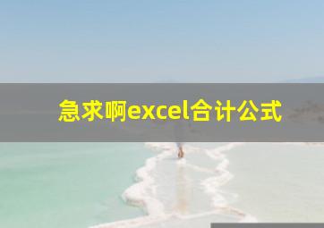 急求啊excel合计公式