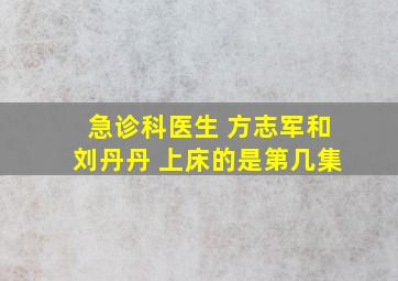 急诊科医生 方志军和刘丹丹 上床的是第几集