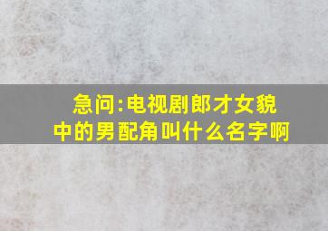 急问:电视剧郎才女貌中的男配角叫什么名字啊