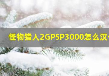 怪物猎人2G。PSP3000怎么汉化?