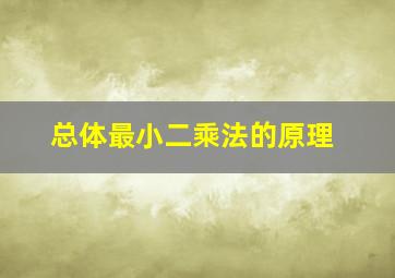 总体最小二乘法的原理