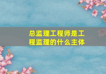 总监理工程师是工程监理的什么主体