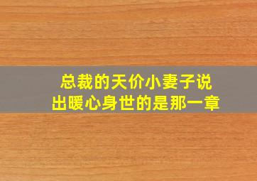 总裁的天价小妻子说出暖心身世的是那一章