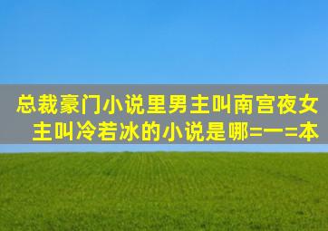 总裁豪门小说里男主叫南宫夜女主叫冷若冰的小说是哪=一=本