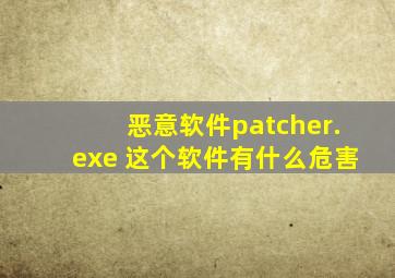 恶意软件patcher.exe 这个软件有什么危害