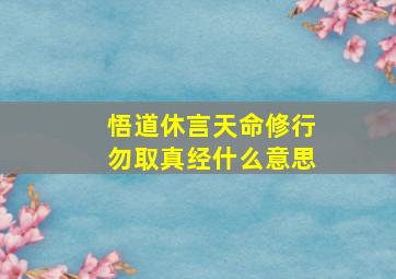 悟道休言天命,修行勿取真经什么意思