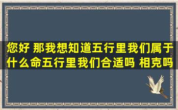 您好 那我想知道五行里我们属于什么命五行里我们合适吗 相克吗