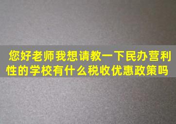 您好,老师,我想请教一下民办营利性的学校有什么税收优惠政策吗 