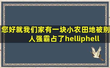 您好、就我们家有一块小农田地被别人强霸占了……该怎么样维护要...