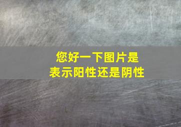 您好一下图片是表示阳性还是阴性