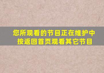 您所观看的节目正在维护中 按返回首页观看其它节目