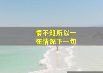 情不知所以一往情深下一句