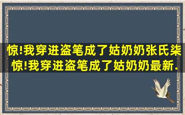 惊!我穿进盗笔成了姑奶奶(张氏柒),惊!我穿进盗笔成了姑奶奶最新...