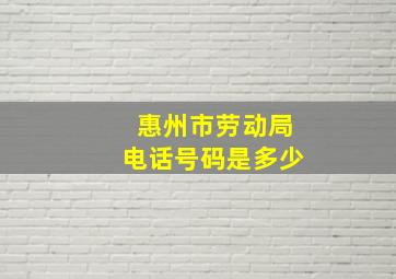 惠州市劳动局电话号码是多少