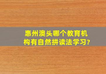 惠州澳头哪个教育机构有自然拼读法学习?