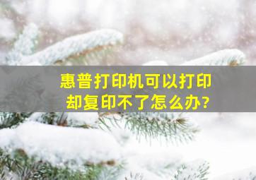 惠普打印机可以打印却复印不了怎么办?