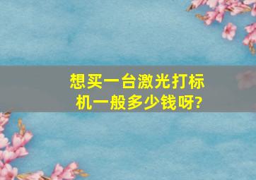 想买一台激光打标机,一般多少钱呀?