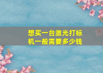 想买一台激光打标机,一般需要多少钱