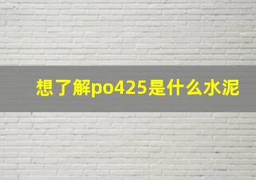 想了解po425是什么水泥