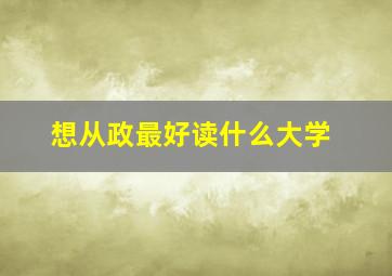 想从政最好读什么大学