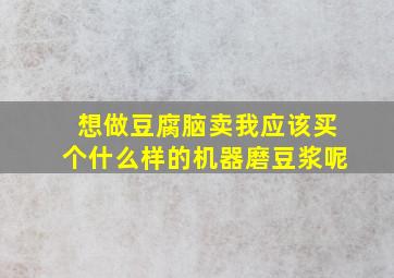 想做豆腐脑卖,我应该买个什么样的机器磨豆浆呢