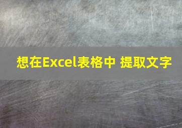 想在Excel表格中 提取文字