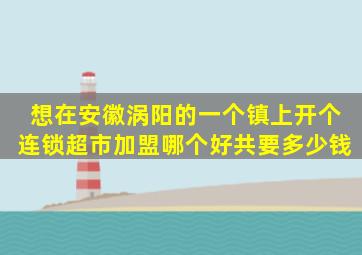 想在安徽涡阳的一个镇上开个连锁超市加盟哪个好共要多少钱