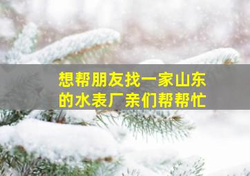 想帮朋友找一家山东的水表厂亲们帮帮忙