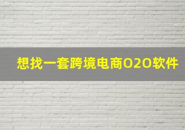 想找一套跨境电商O2O软件