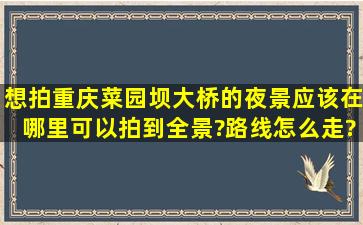 想拍重庆菜园坝大桥的夜景,应该在哪里可以拍到全景?路线怎么走? ...