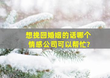 想挽回婚姻的话,哪个情感公司可以帮忙?