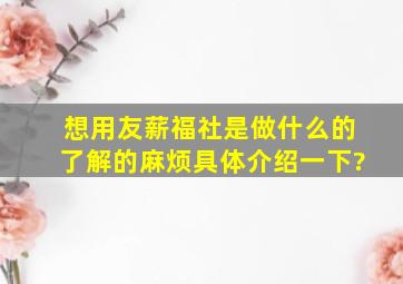 想用友薪福社是做什么的,了解的麻烦具体介绍一下?