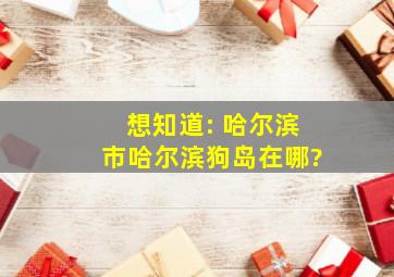 想知道: 哈尔滨市哈尔滨狗岛在哪?