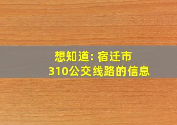 想知道: 宿迁市 310公交线路的信息