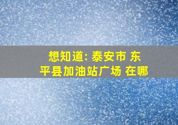 想知道: 泰安市 东平县加油站广场 在哪