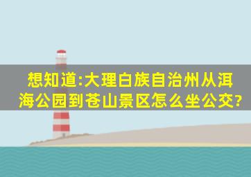 想知道:大理白族自治州从洱海公园到苍山景区怎么坐公交?