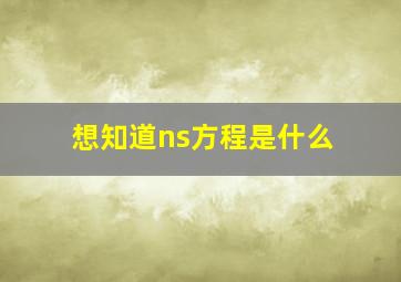 想知道ns方程是什么(