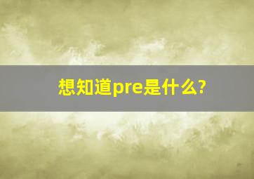 想知道pre是什么?